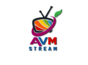 AVMstreamTV